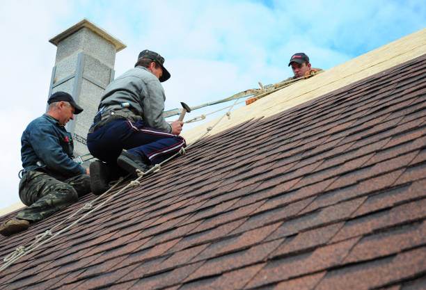 Quick and Trustworthy Emergency Roof Repair Services in Brighton, MI